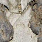8 ASIRDIR ÇÜRÜMEYEN BEDEN “YANIK SULTAN”